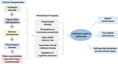 Cognition in vestibular disorders: state of the field, challenges, and priorities for the future